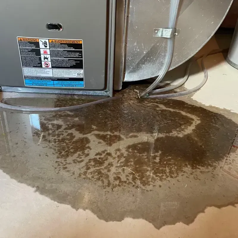 Appliance Leak Cleanup in Parkin, AR